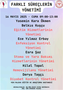  Farklı Süreçlerin Yönetimi Etkinliği